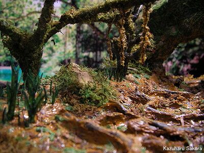 トミカ・ハイラックス、マジョレット・FJクルーザーに似合うジャングルのジオラマ完成画像～木に垂れ下がるツタ２